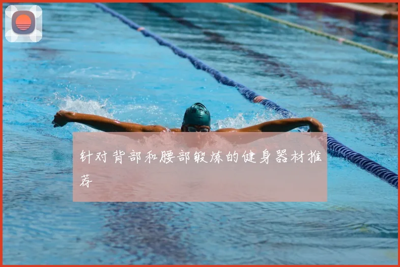 针对背部和腰部锻炼的健身器材推荐