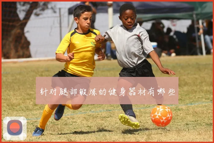 针对腿部锻炼的健身器材有哪些