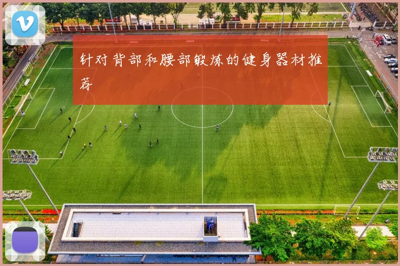 针对背部和腰部锻炼的健身器材推荐